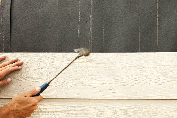 Best Storm Damage Siding Repair  in South Fulton, GA